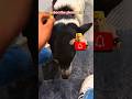 डॉग लव वीडियो dog se pyar ase krte hain #dog love #funny dog #viral