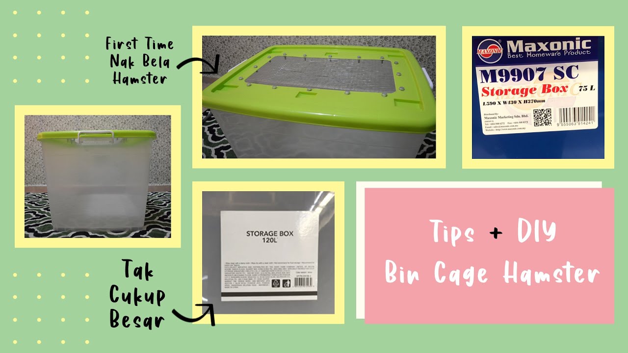 Tips + DIY Bin Cage Hamster YouTube