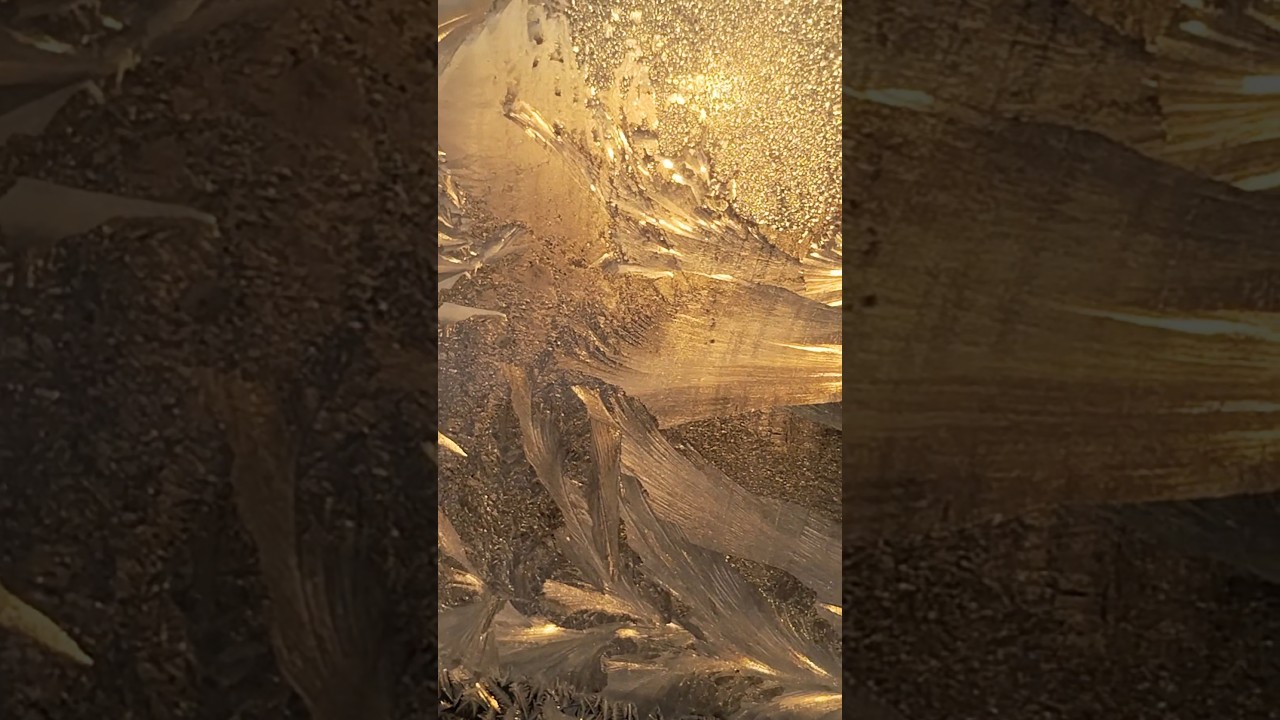 Всем, здоровья! И будет Счастье! ❤️ #цитаты #мысли #мудрость #счастье