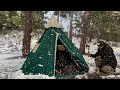 Camping dhiver glacial dans le blizzard avec mon chien  survie dans la neige documentaire