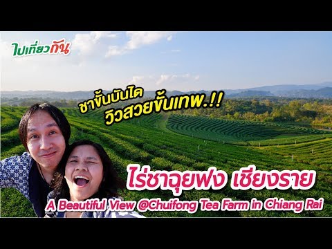 ไร่ชาฉุยฟง เชียงราย ชมวิวไร่ชาขั้นบันได สวยขั้นเทพ!!  - A Beautiful View @Chuifong Tea Farm