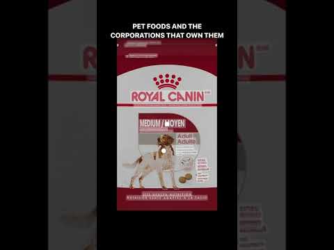 Did you know about these two? ?? #thebkpets #dogkibble #royalcanin #purina #shorts