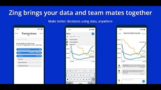 Zing Data - Free Mobile Business Intelligence App Explainer