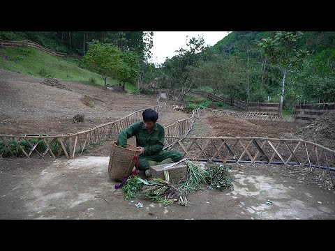 Video: Reviving overgrodde potteplanter