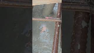 Video No - 57 Concrete Viberater