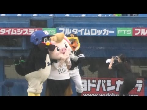 つば九郎、バリカタくんのサングラスを奪いとるw