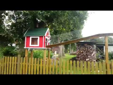 catwalk-mit-tunnelsystem-für-katzen