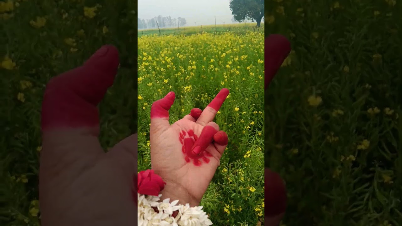 hand editing so beautiful