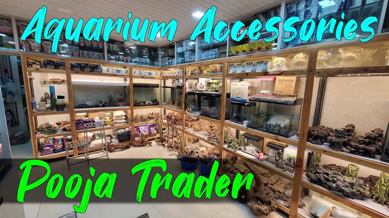 fish aquarium accessories mumbai Mechpia 13 Pieces Decorations Kit, Tank Decorations Set Small Resin Castle and Rockery Betta Fish Cave Hideout Coral Artificial Plastic Plants Ornament Pet Supplies Pet Kadai  Online aquarium