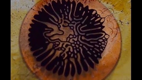 Labyrinth instability of ferrofluid between glass plates above magnet