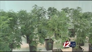 RI leaders consider legalizing marijuana