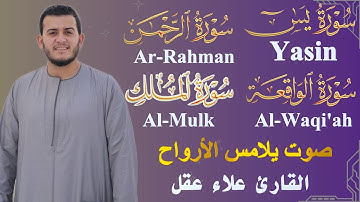 رحلة إيمانية مؤثرة | تلاوة سورة يس، الرحمن، الواقعة، الملك بصوت القارئ علاء عقل
