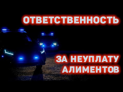 Неуплата алиментов  |  Уголовная ответственность за алименты