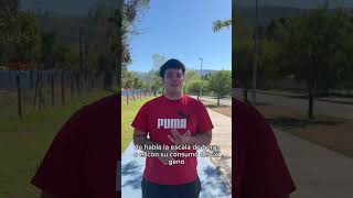 Héctor Mariscal- Javier Calderón- Damaris Valenzuela-Jonathan Letelier- Damian Valenzuela 