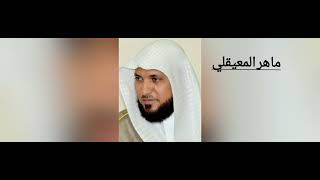 سورة الأعلى لمجموعة من أئمة الحرم المكي ، بصوت جمييل ...