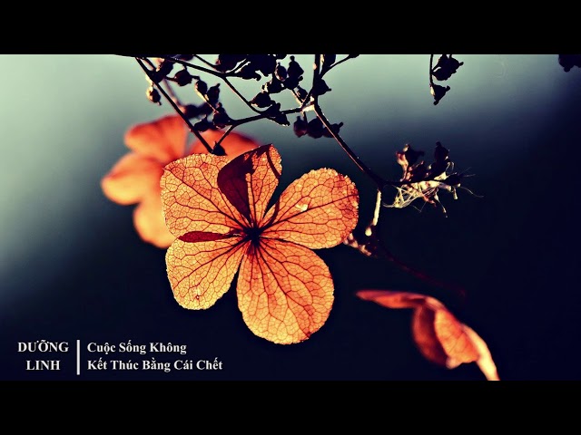 DƯỠNG LINH - Cuộc Sống Không Kết Thúc Bằng Cái Chết