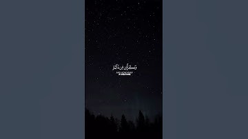 {ٱلَّذِينَ صَبَرُواْ وَعَلَىٰ رَبِّهِمْ يَتَوَكَّلُونَ}#قرآن #سورة_النحل #عبدالرحمن_مسعد #قران_كريم