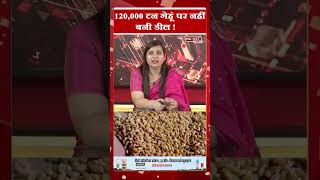 120,000 टन गेहूं पर नहीं बनी डील! #wheat #globaltrade #agriculturenews #marketupdate #tradetalks