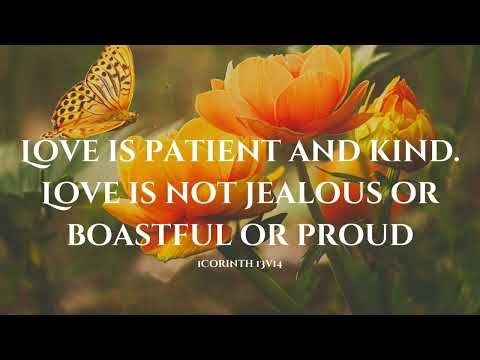 Love is patient and kind  Love is not jealous or boastful or proud 1Corinth 13v14 2