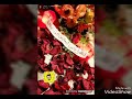 سناب اليوم علوش بس رجاء بدون بكي لانو صار عندو شريكه حياه بلمستقبل عندو حبيبه 😭😭😭😭💘💘💘بحبها حب
