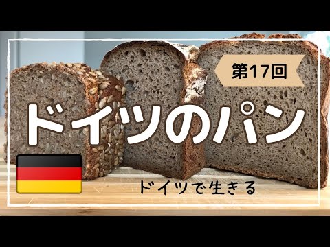 【ドイツパン3種類】酸っぱいけど美味しいドイツのパン｜ドイツ人のパンの食べ方｜ヴルストの種類は1500以上｜ライ麦パン、スペルト小麦、全粒粉パン、サワー種…ドイツパンは健康的