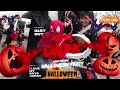 "Haunted Hilarity: A Journey through our Spooktacular Halloween Party"