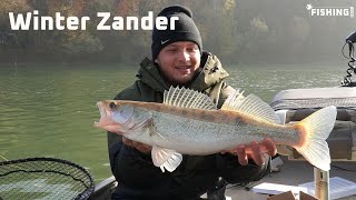 Vertikalangeln auf Zander im Winter fishingprofi