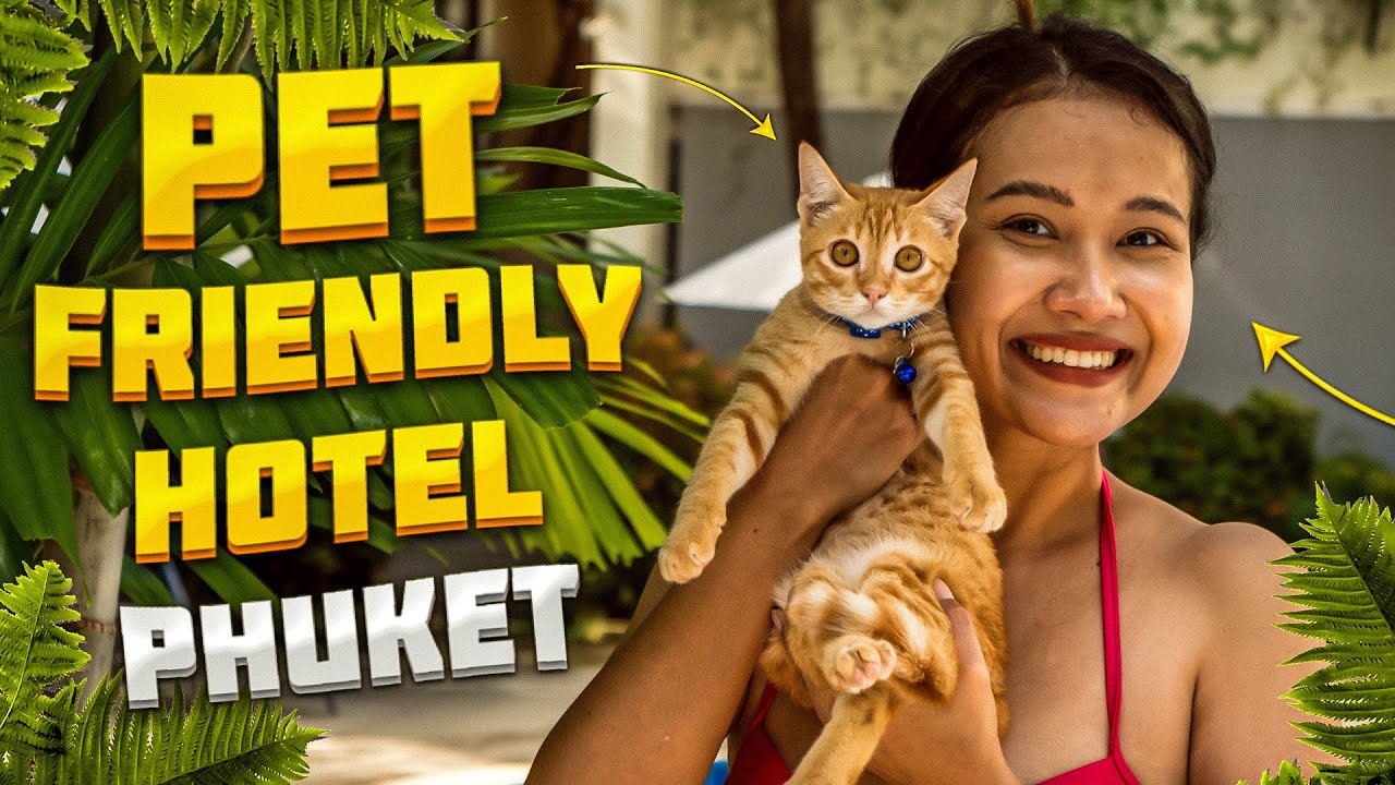 Anyone traveling with your pets? Pet Friendly Hotel in Patong. Phuket