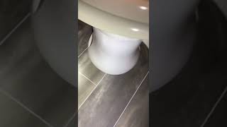 IMG 0369 mov