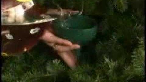 Christmas Tree Watering System WS02