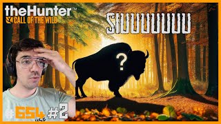 PRECIOSO PELAJE DE BISONTE EUROPEO - FALTA 1 PARA EL MULTITROFEO | 🦌theHunter: CotW #654