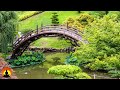 🔴 Relaxing Music 24/7, Calming Music, Relaxation Music, Meditation Music, Sleep Music, Study Music