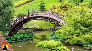  Relaxing Music 24/7, Calming Music, Relaxation Music, Meditation Music, Sleep Music, Study Music