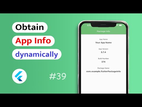 How to get App Info in Flutter App? (Android & IOS)