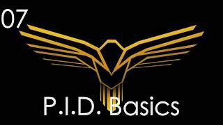 07 PID Basics Net Worth