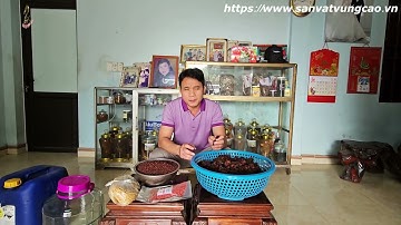 Hướng Dẫn Ngâm Rượu Hà Thủ Ô Bổ Dương - Xanh Tóc Chuẩn Bài / 0373674161