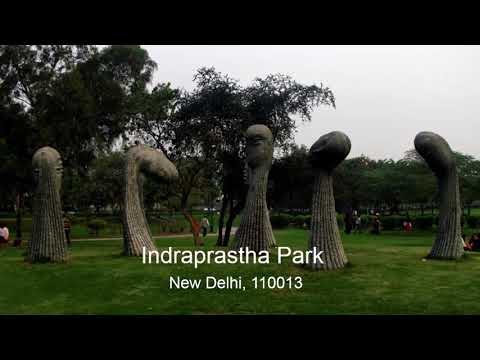 Video: Die 9 beste museums in Delhi