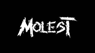 Molest - Dustened Fragments