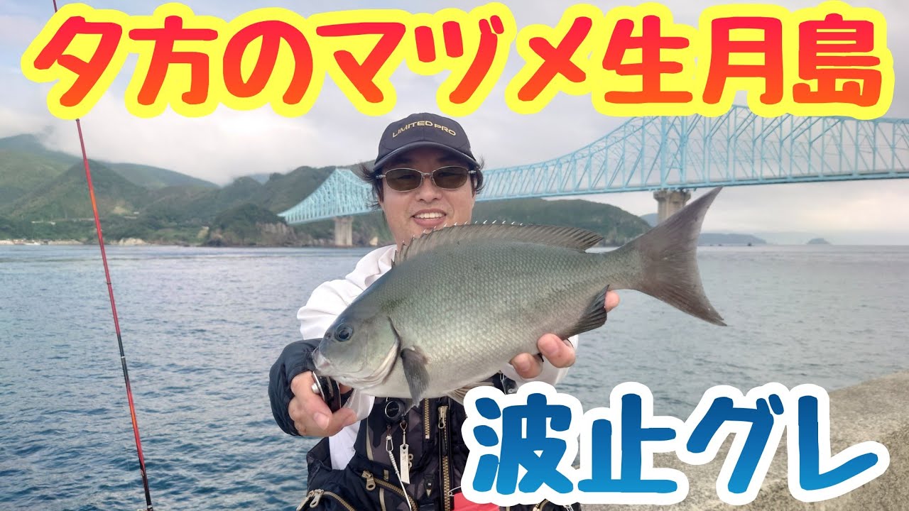 生月島グレ釣り❗夕マヅメ狙い❗マジカグレ❗