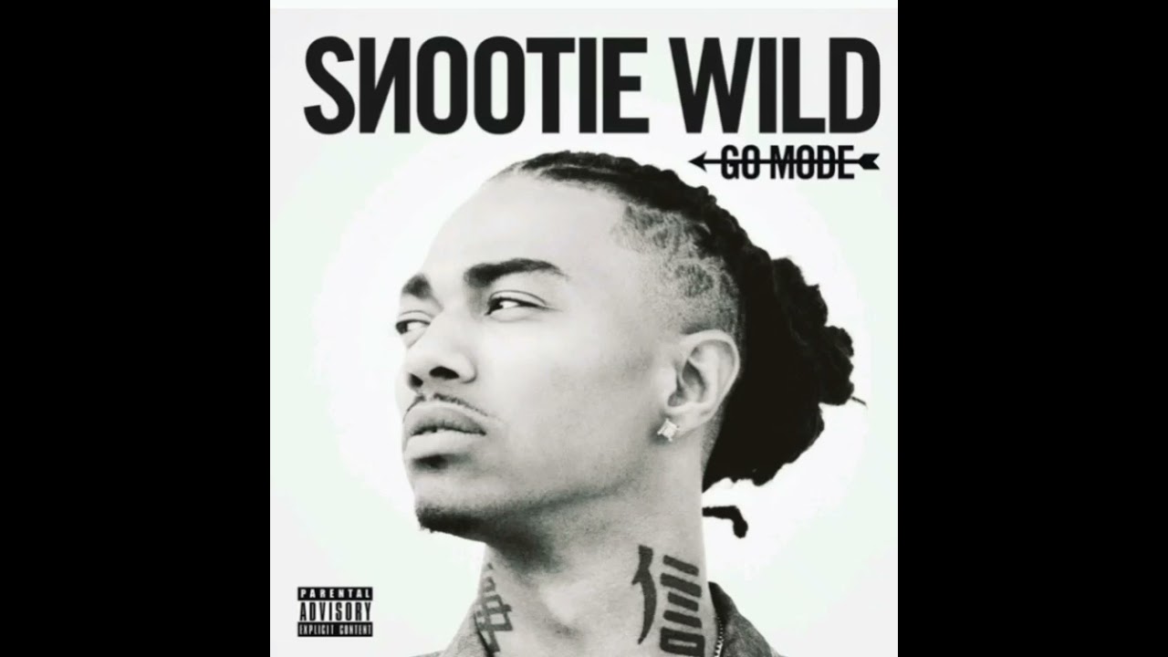 Snootie Wild - 