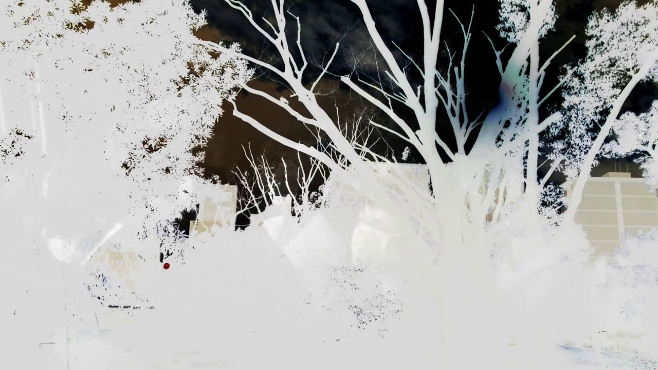 12月のフルーツ / MUSHAxKUSHA