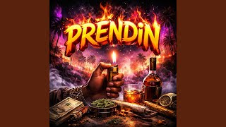 Soft Calm screenshot 5