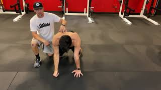 Quadruped Position - T