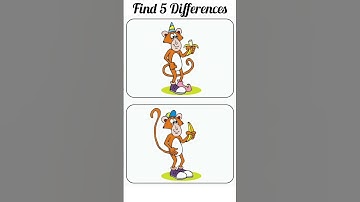 Spot 5 differences #109