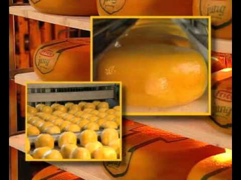  معلومات عن الجبن إنتاج الجبن