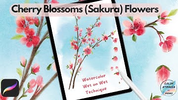 How to paint beautiful Cherry Blossoms (Sakura) with Wet on Wet Watercolor Technique in Procreate