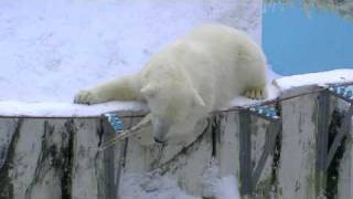 破壊王たち眠りにつく