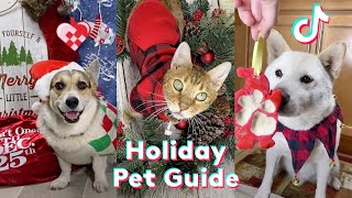 2021 Holiday Pet Guide TikTok Compilation Daily Paws