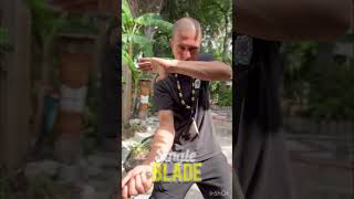 Reverse Sinawali | Double & Single stick and blade Filipino Martial Arts tutorial #sinawali #arnis Profile