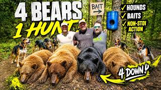 4 Bears in Camp! Bait vs Hounds vs Spot & Stalk (BEAR BENDER EP3)
